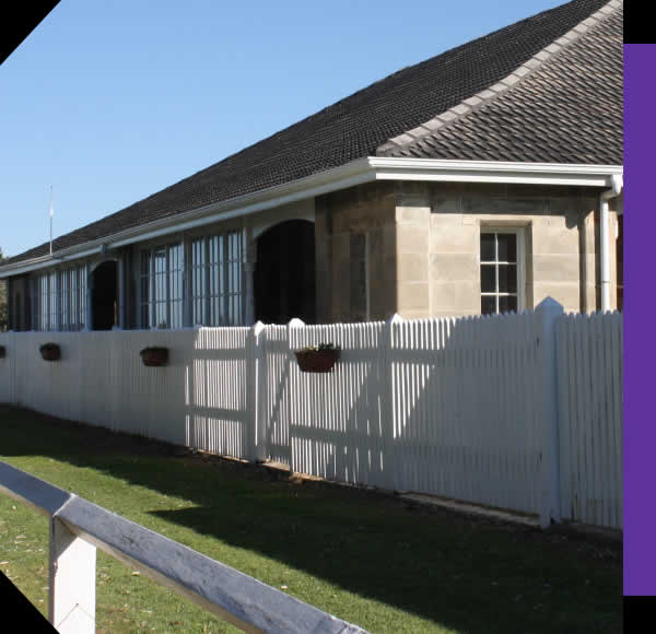 Fence Pressure Washing Services