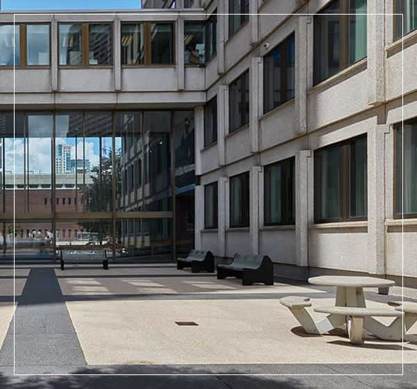 Local Commercial Pressure Washing Douglas