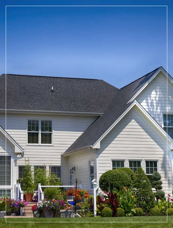 Local Roof Washing Services