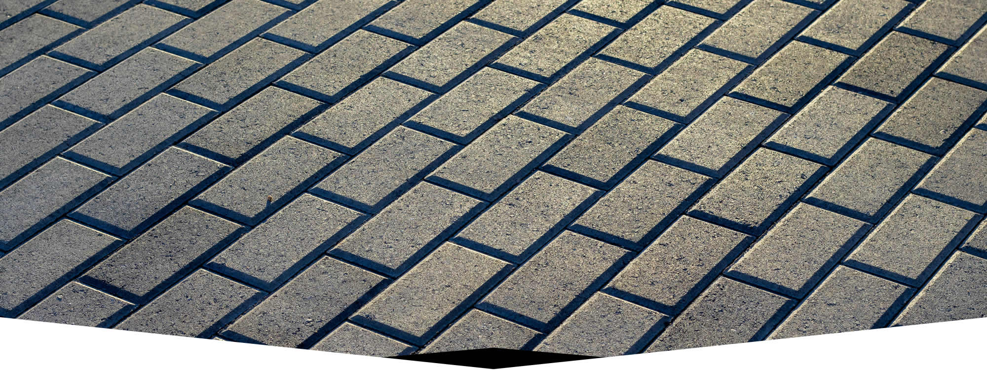 Paver Washing Professionals