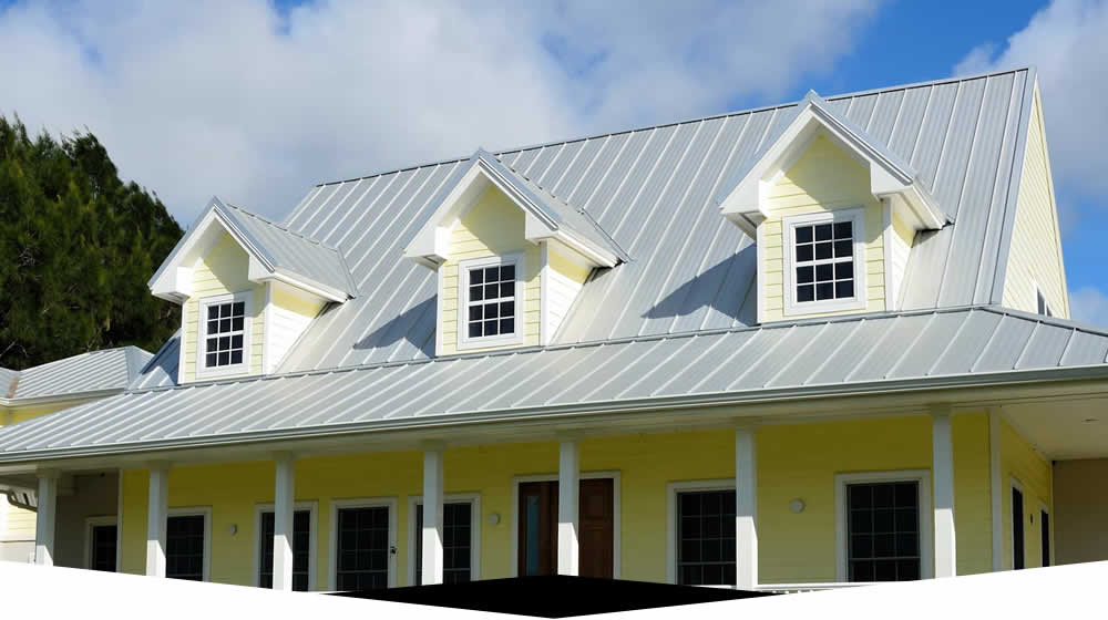Roof Washing Professionals GA