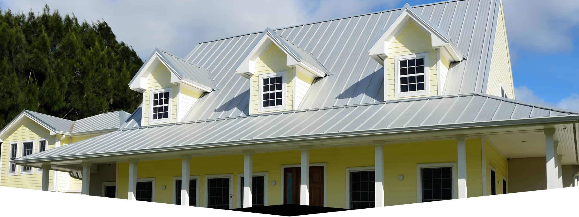 Roof Washing Professionals
