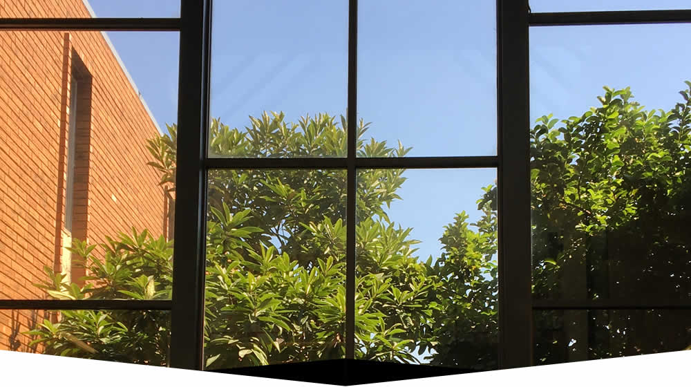 Window Washing Professionals GA