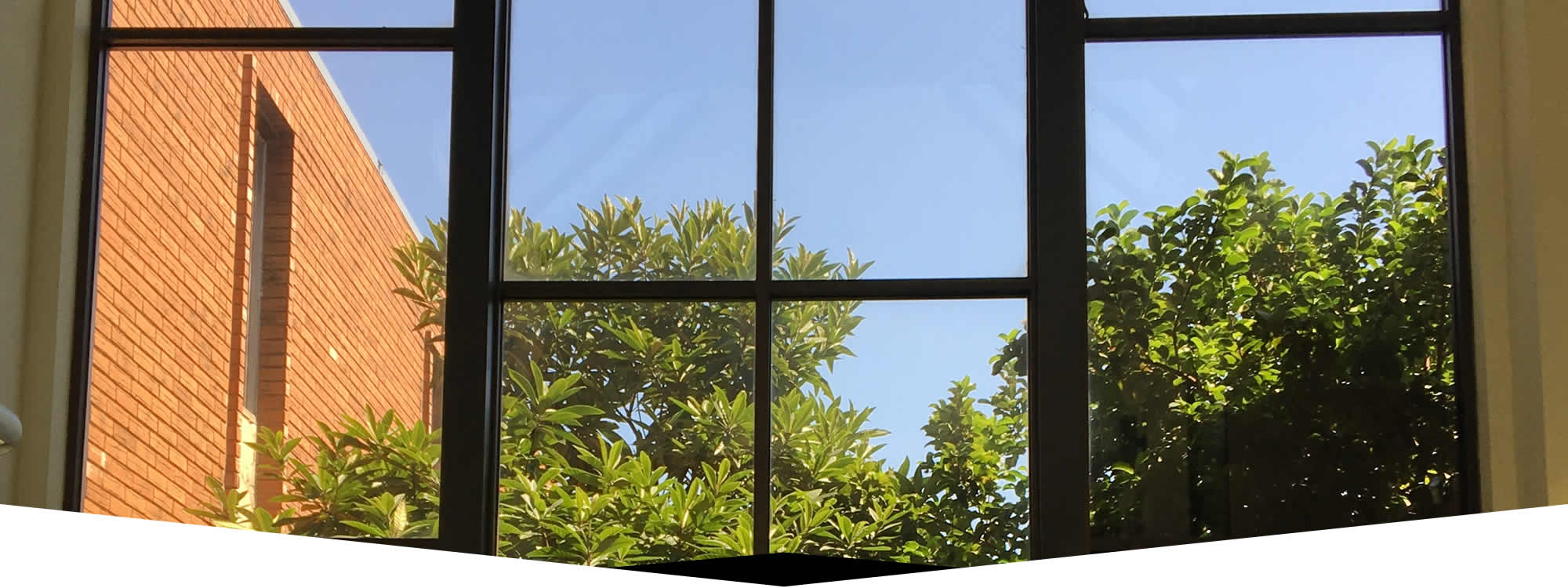 Window Washing Professionals